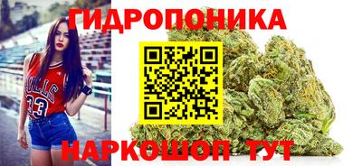 эйфоретик Берёзовский