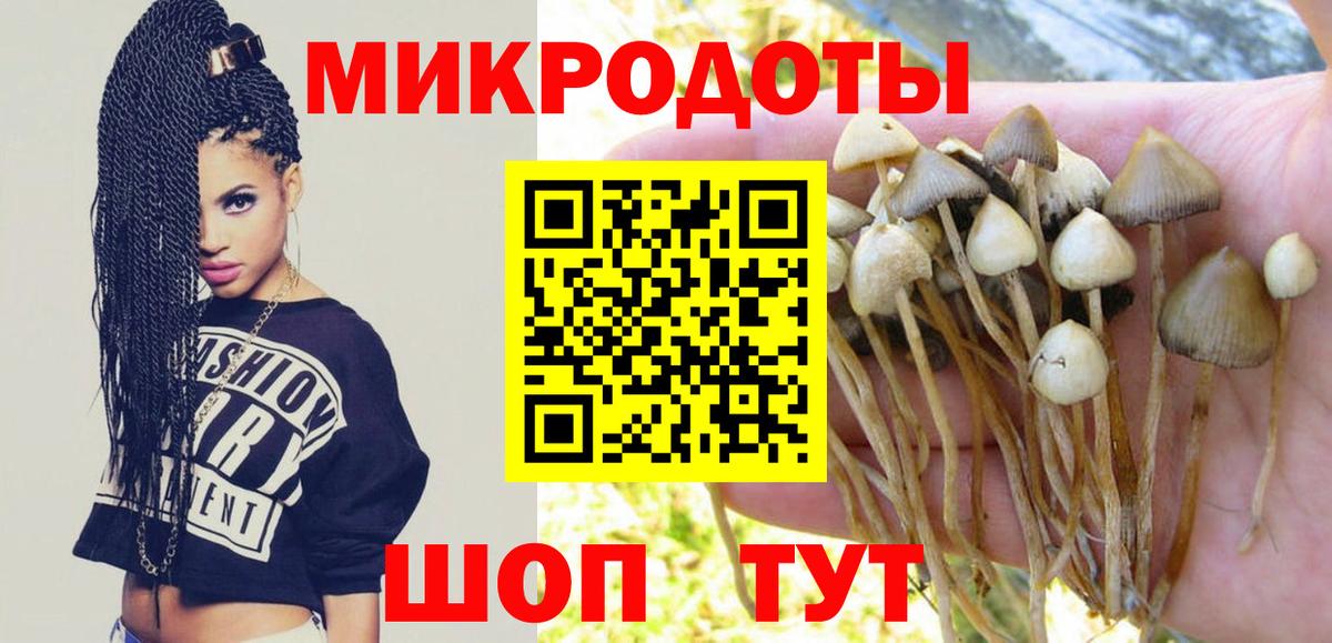 Галлюциногенные грибы прущие грибы  Вход с VPN  Балашиха 