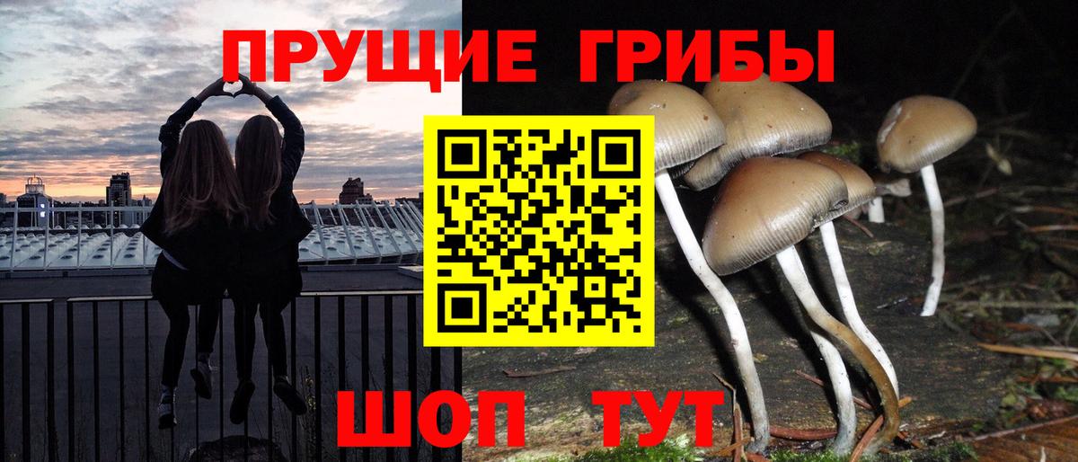 Псилоцибиновые грибы ЛСД Балашиха